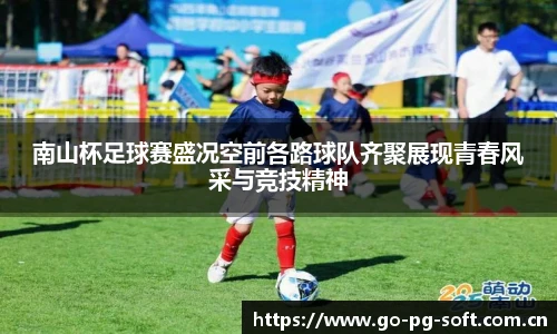 pg模拟器